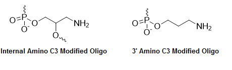 Bio-Synthesis Inc. Oligo Structure